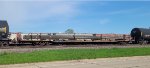 CW 1600